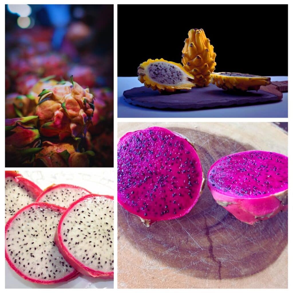 Types of dragon fruits