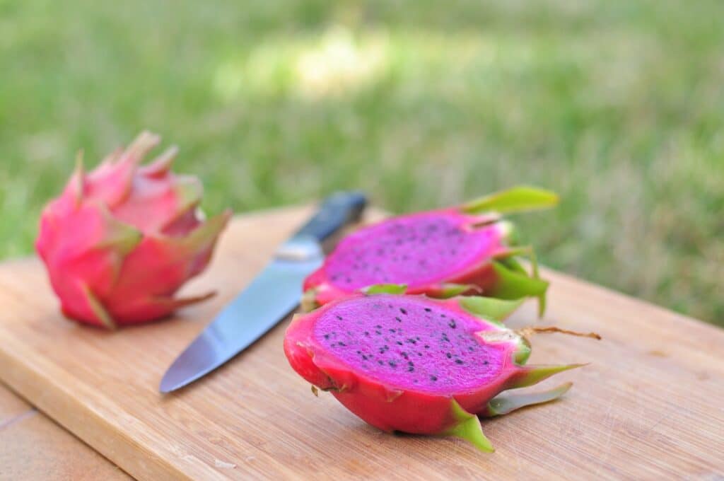 How to grow dragon fruit from seed category