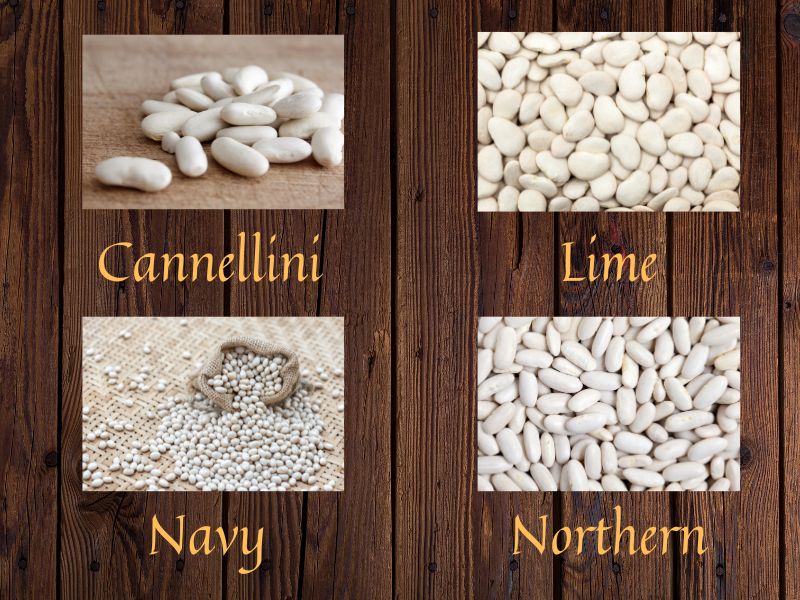 Types of white beans 