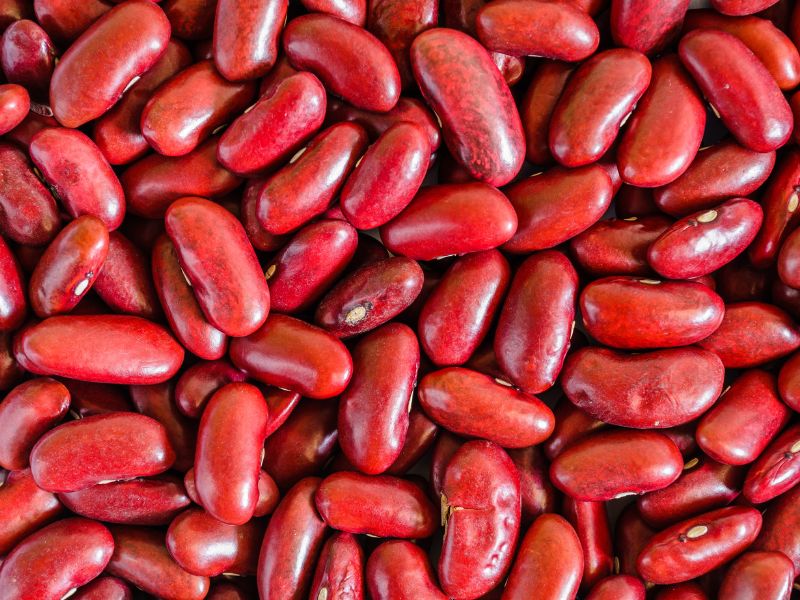 How to grow red beans featured image